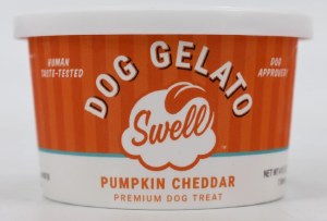 Swell Gelato Pumpkin Cheddar