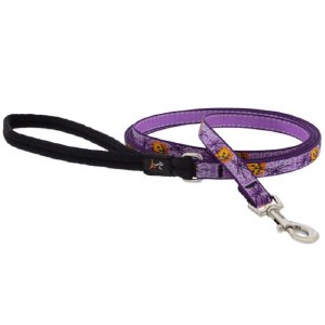 Trick or Treat Lead  1/2" 6'
