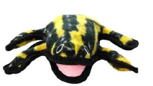 Tuffy Phineas Frog
