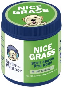 UTW Nice Grass
