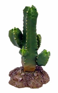Weco Badlands Tetragonius Cact