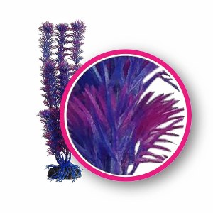 Weco Plant Fuschia Fern 9"