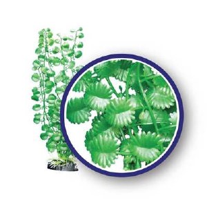 Weco Plant Japanese Cress 9"