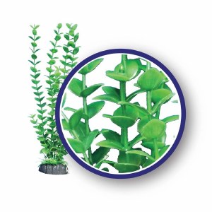 Weco Plant Lime Bacopa 18&quot;