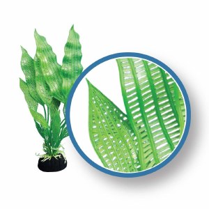 Weco Plant Madagascar Lace 6&quot;