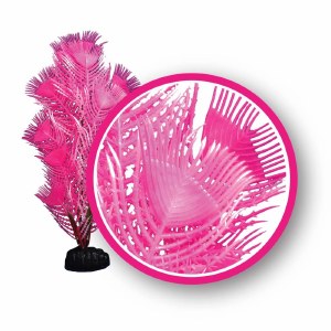Weco plant princess feather 9&quot;