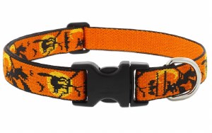 Wicked 8-12 Collar