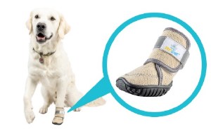 Zen Protective Boots Lg 2pk
