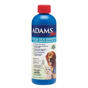 ADAMS PLUS SHAMPOO 12OZ
