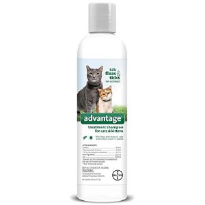 Advantage Shampoo Cat Kitt 8oz