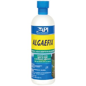 Algaefix 4 OZ