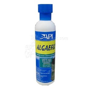 Algaefix 8 OZ