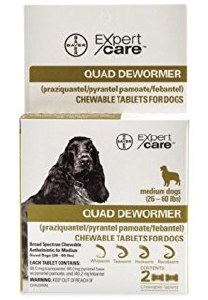 Bayer Quad Dewormer Md Dog