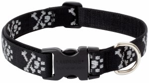 Bling Bonz 12-20