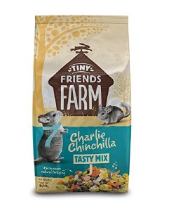 Charlie Chinchilla 2#