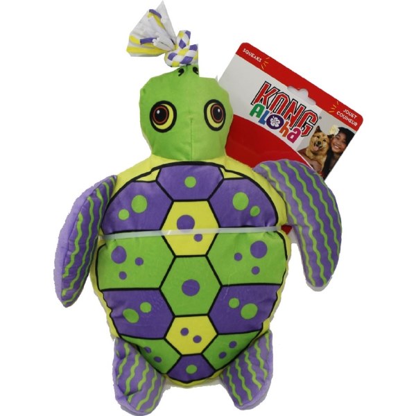 kong turtle
