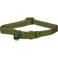 Safety Cat Palm Green