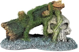 Skull with Moss
