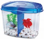 Aqueon Betta Starter Kit Blue