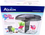 AQUEON BETTA STARTER BLK