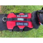 Baydog Service Dog Harness XL
