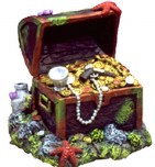 CAPT KIDDS TREASURE