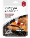 Catappa Leaves 12pk