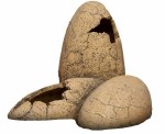 Exo Terra Dino Egg Fossil