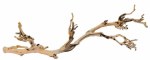 Exo Terra Forest Branch Lg