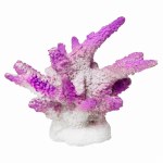 Finger Coral Ornament