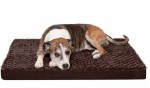 Furhaven Ortho Cushion Lg Br