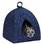 Furhaven Tent Night Sky