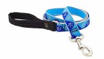 HL Blue Paws 1" Lead 4'