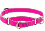 HL Pink Paws 19-27" Martingale