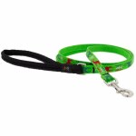 Happy Holidays 3/4"Gr 6' leash