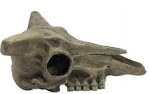 Kom Hideout Deer Skull