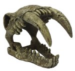 Kom Hideout Saber Tooth