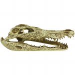 Komodo Alligator Skull 9"
