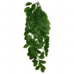 Komodo Climbing Leaf Gr Lg