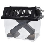 Komodo Cricket Keeper Large