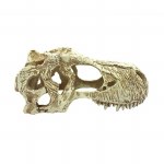 Komodo T Rex Skull Lg