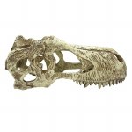 Komodo T Rex Skull XL