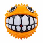 Kong Grinz Puffer Fish