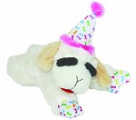 Lambchop Birthday Pink Hat