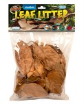 Leaf Litter Aquarium