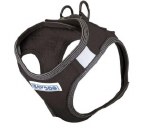 Liberty Harness Black Small