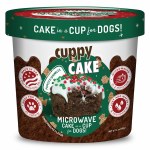 Microwavable Cup Holiday Cake