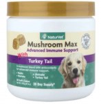 NatVet Mushroom Immune 60ct