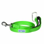 Pensacola Leash Key Lime 6'