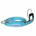 Pensacola Leash Seafoam 6'